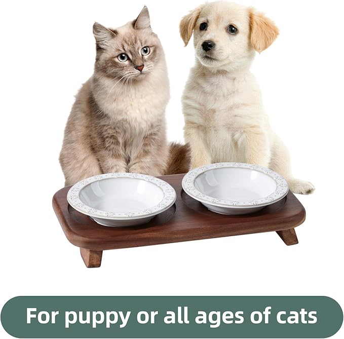 Raised Double Cat Dishes Set with Acacia Wood Stand, Ceramic Food & Water Bowls for Cats, Puppy, Kitty, Cat Feeder, Prevent Whisker Fatigue(Double Bowls+Stand, Arctic White)
