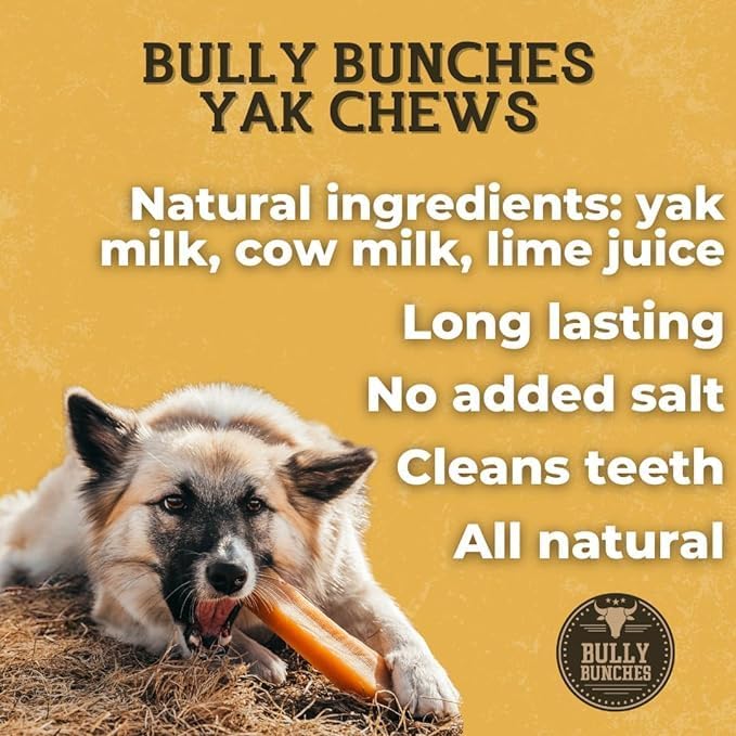 Bully Bunches Premium Blueberry Himalayan Yak Chew for Dogs, All-Natural, Long-Lasting, Authentic Yak Milk, Healthy Dental Chew, High-Protein, Grain-Free (Medium, 2 Pack)