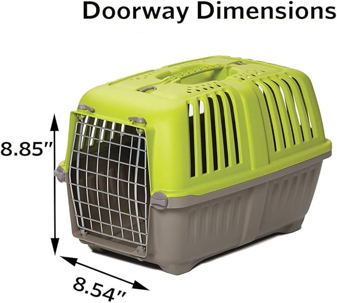 MidWest Homes for Pets Spree Travel Carrier ??Hard-Sided Dog & Cat Carrier, Small Pet Travel Crate with Handle, Ventilated Design, Easy Assembly, 22-Inch, Green