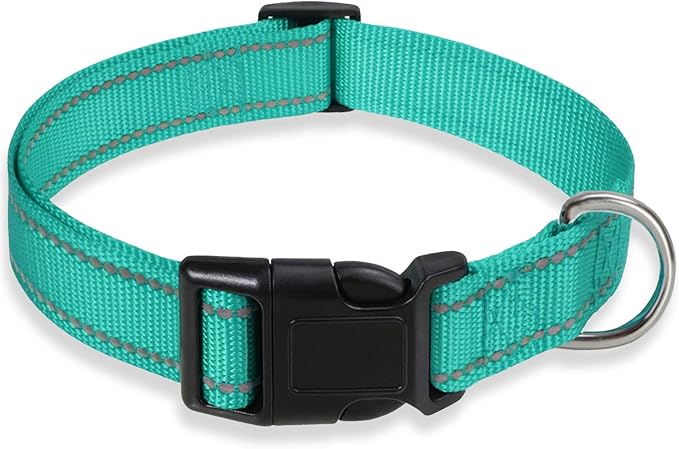 Reflective Dog Collar with Buckle Adjustable Safety Nylon Collars for Small Medium Large Dogs, Green XL