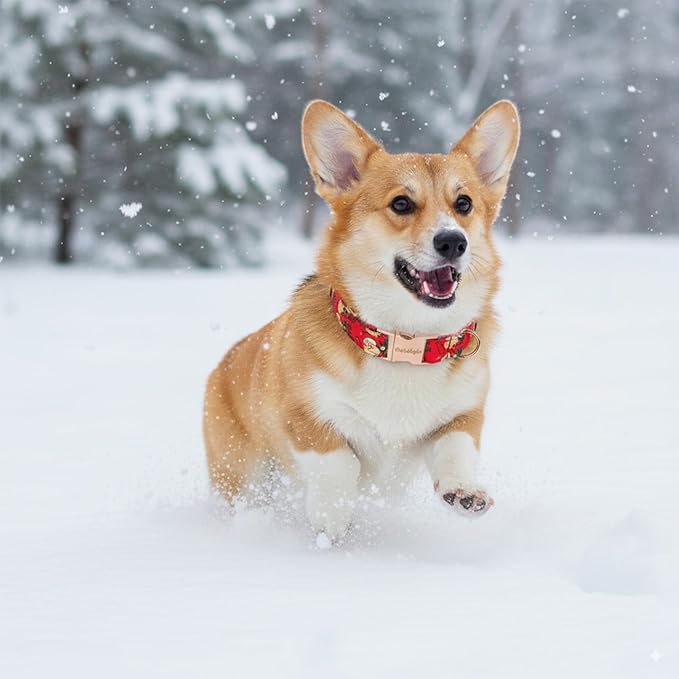 Christmas Dog Collar竊똕oft Cotton Dog Collars for Extra Small Dogs, Dog Christmas Collar with Santa for Small Medium Large Dogs, Adjustable Red Collars Perfect for Girl or Boy Dog Collars-XS