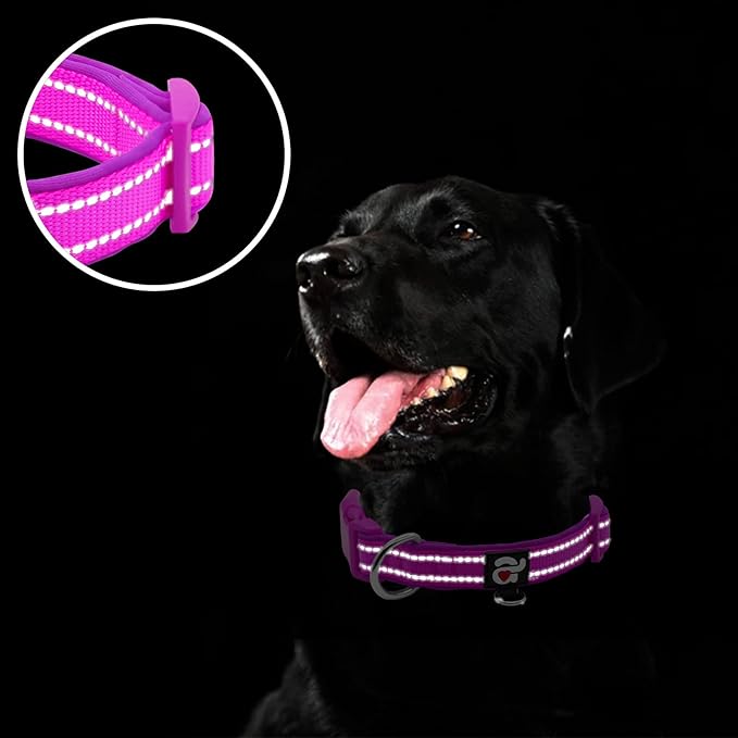 azuza Reflective Dog Collar,Soft Neoprene Padded Pet Collar with ID Tag Ring,Adjustable for Large Dogs,Purple,L