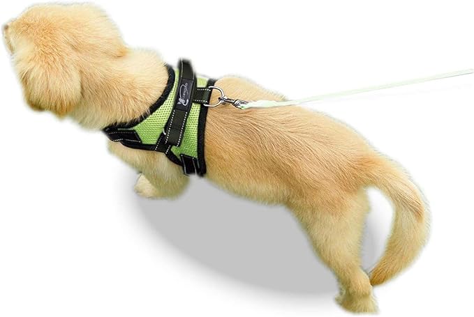 No Pull Reflective Adjustable Dog Harness With Handle- Comfortable Soft All Weather Mesh, Easy On Puppy Harness For Small Medium and Large Dogs (Green) X-Large