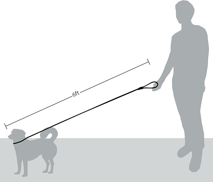 Friends Forever Extremely Durable Dog Rope Leash, Premium Quality Training Slip Lead, Reflective, Thick Heavy Duty, Sturdy, No Pull, Comfortable For The Strong Large Medium Small Pets 6 feet, Green