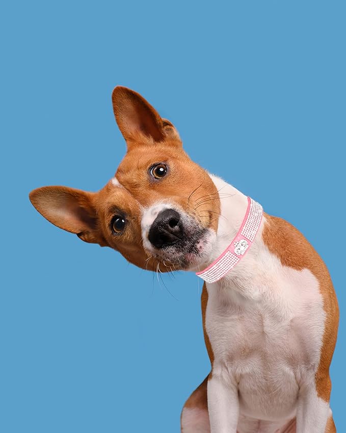 Dog Collar for Small Dogs, Adjustable Leather Suede Bling Dog Collars，Pink Dog Collar Cat Collar, Rhinestone Dog Collar (M, pink3)