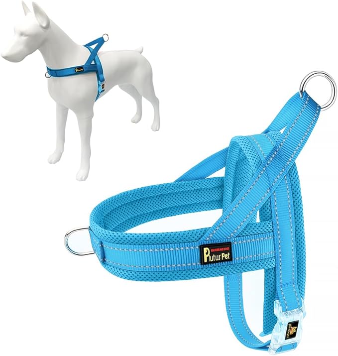 Plutus Pet No Pull Dog Harness with Breathable Mesh Padded, Adjustable Reflective Escape Proof Dog Harness, Quick Fit Dog Vest Harness for Small Medium Large Dogs(XL, Cyan)