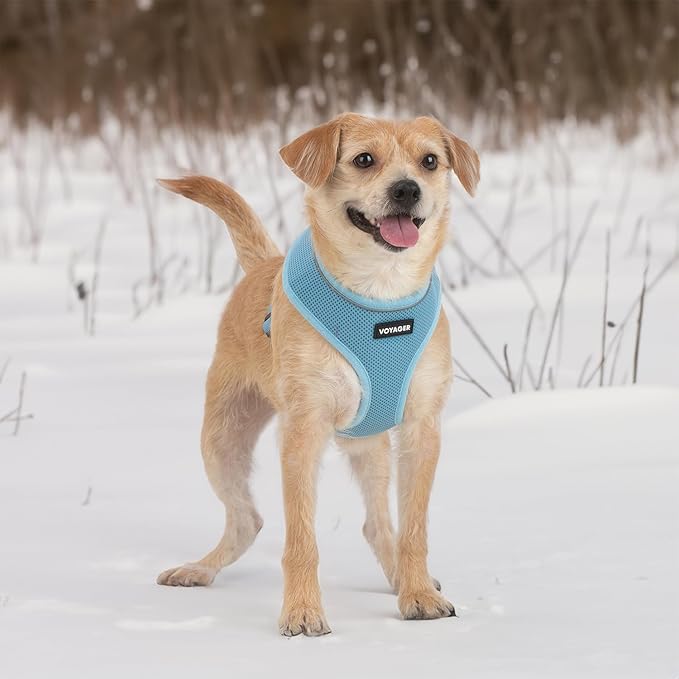 Voyager Aerolite Over The Head Dog Harness, No Pull Breathable Air Mesh Vest, Quick Dry with Reflective Stitching, Adjustable Escape Resistant Harness for Small Medium Large Dogs - Blue, Small
