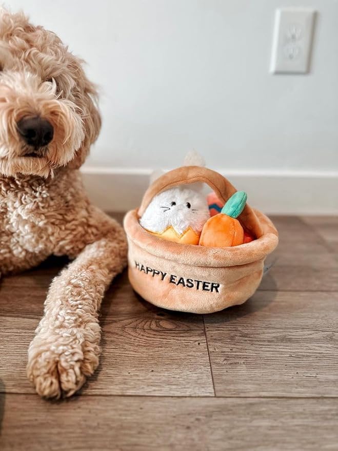 Midlee Hide a Toy Easter Basket Dog Toy