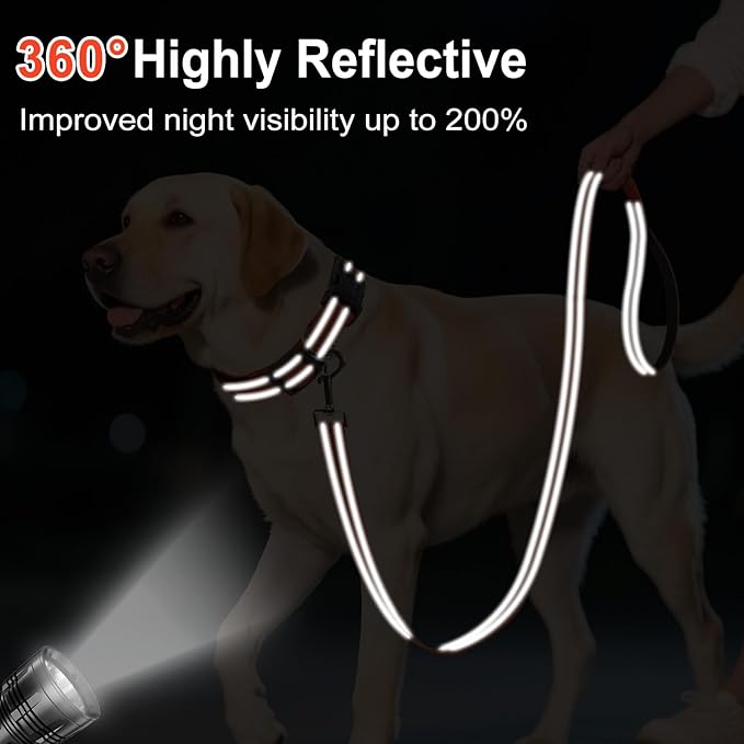 Reflective Dog Leash 6ft Soft Padded Handle Nylon Lead for Small & Medium Dogs, Durable Walking Training Leash for Night Safety (Orange,3/4Inch Wide)
