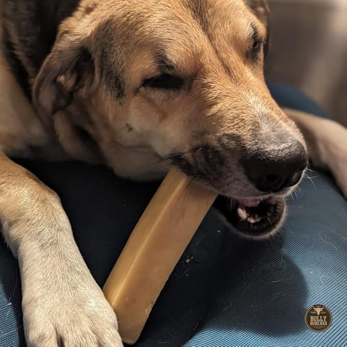 Bully Bunches Mega Authentic Yak Cheese Himalayan Chews for Giant Dogs & Super Aggressive Chewers - All Natural Dog Treat Dental Chews, Made with Real Yak Milk - Lactose & Rawhide Free (4 PK)