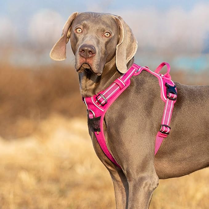 TRUE LOVE Dog Harness No Pull Nylon Reflective Pet Harness Adjustable Comfortable Control Step-in Brilliant Colors Truelove TLH56512