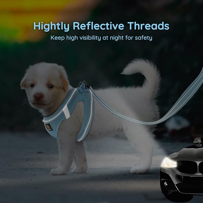 BELLA & PAL Step in Vest Harness for Small and Medium Dogs, No Pull Small Dog Harness with Leash Set, Comfortable Air Mesh Dog Vest Harness with Reflective Strip (Sky Blue, XS)