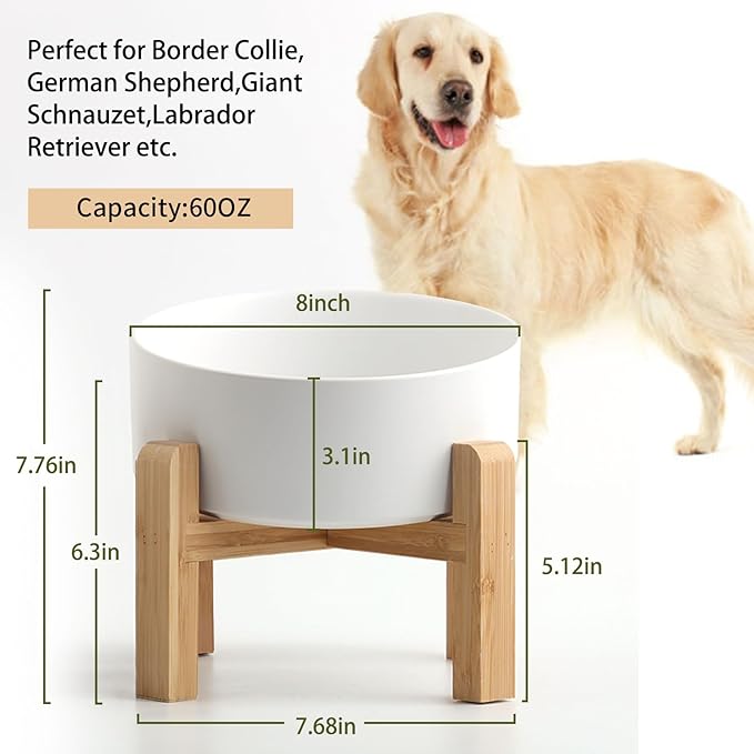 Petygooing White Elevated/Raised 15° Slanted Ceramic Dog Bowl for Large and Medium Breeds, Pet Anti Slip Feeding Bowl,Food Water Dish with Stand for Large and Medium Dogs (60 OZ / 7.6 Cup)
