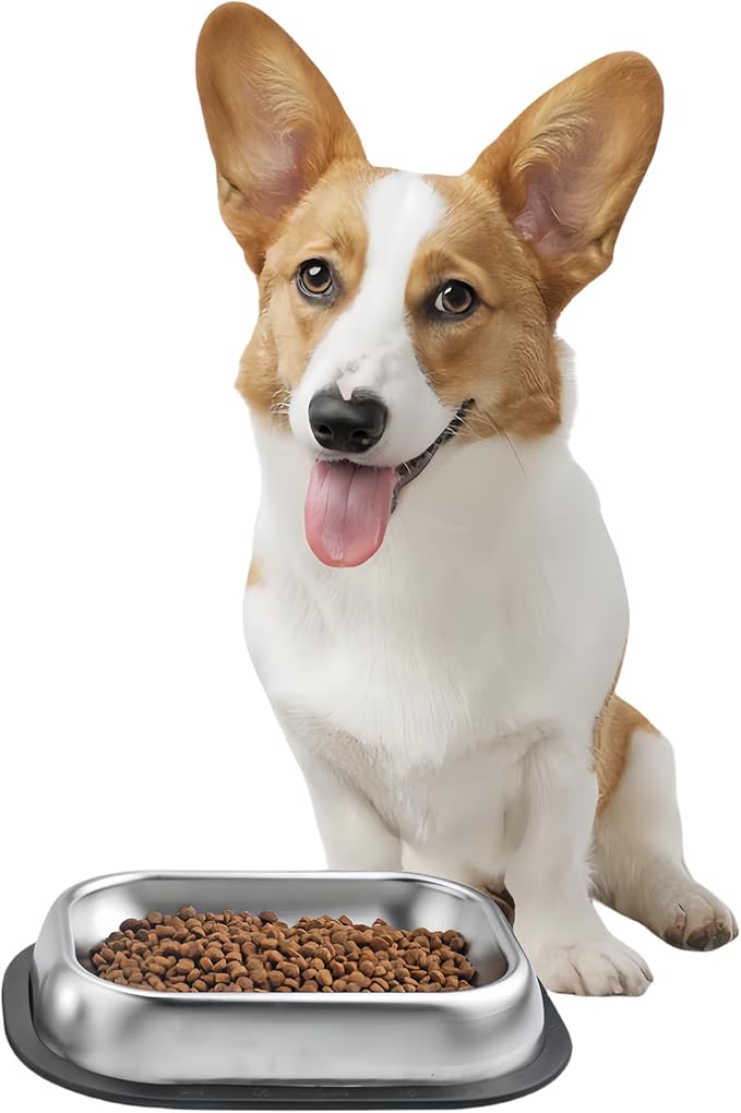 304 Stainless Steel Metal Food Dishes, with Cleaning Kit, Shallow Dog Food Bowls, Feeder Dog Bowls Water Bowl, for Small/Med Sized Cats Dogs (8.2 inch/1 Bowl)