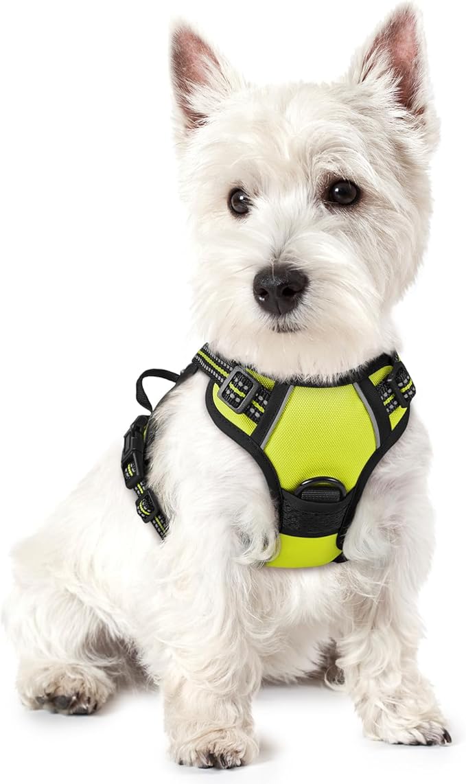 rabbitgoo Dog Harness No Pull with 2 Leash Clips, Adjustable Soft Padded, Reflective Oxford No Choke Pet Vest with Easy Control Handle for Puppy, Green, XS