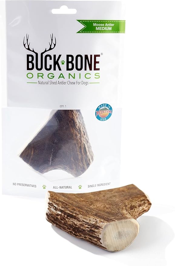 Buck Bone Organics Dog Chews, Moose Antlers for Dogs, Long Lasting Dog Bones for Aggressive Chewers, All Natural, No Preservatives, Wild Shed in The USA (Medium)