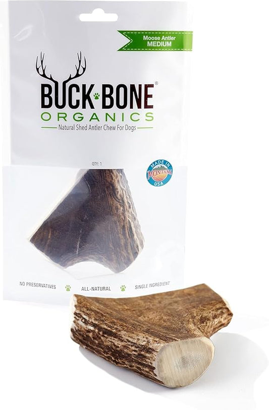 Buck Bone Organics Dog Chews, Moose Antlers for Dogs, Long Lasting Dog Bones for Aggressive Chewers, All Natural, No Preservatives, Wild Shed in The USA (Medium)