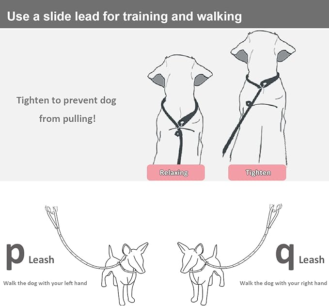 BTINESFUL 7ft Slip Lead Dog Leash, Strong Nylon Rope Leash, 1/4" Dog Training Lead for Small Medium Dogs, 14+ Colors (1/4" * 7 FT, Red)