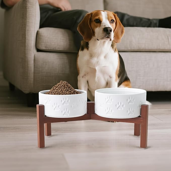 SPUNKYJUNKY Ceramic Elevated Dog Bowl Set with Acacia Wood Stand for Food and Water for Medium Dogs (42.27 OZ, White, Dog Paw Pattern)