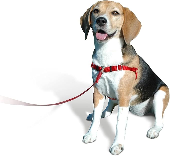 Sense-ible No-Pull Dog Harness - Black Small