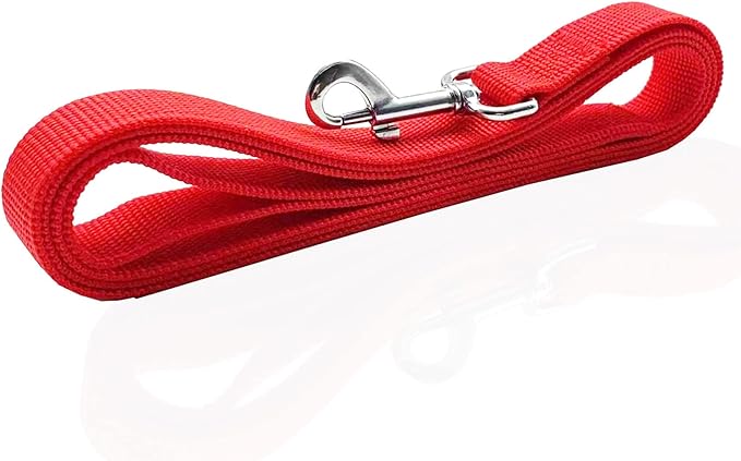 Nylon Dog Leash 12 Feet Long, Walking Training Dog Leashes for Medium Large Dogs(1" X 12 ft, Red)