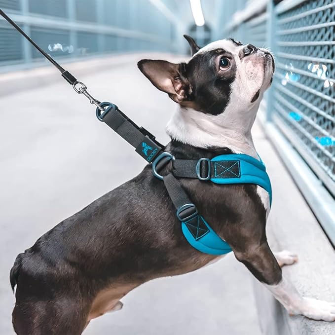 Gooby Escape Free Sport Harness - Lime, Medium - No Choke Step-in Patented Neoprene Small Dog Harness with Four-Point Adjustment - Perfect on The Go Dog Harness for Medium Dogs No Pull and Small Dogs