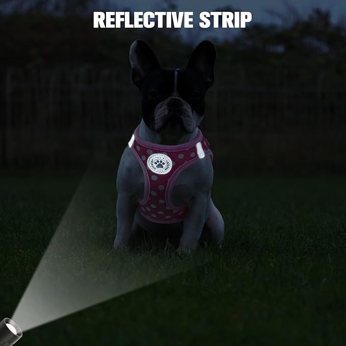 BEAUTYZOO Step in Dog Harness and Leash Set, Polka Dot Pattern Reflective Dog Harness No Pull No Choke Puppy Harness for XXS XS S Dogs Cats, Soft Padded Mesh Vest Harnesses for Girl and Boy Pets
