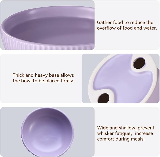 Ceramic Elevated Cat Bowls-Water Bowl, 15° Tilted Design, Anti-Vomiting & Spine Protection, Prevent Whisker Fatigue for Kittens to Adult Cats and Small Dogs (Black-Elevated Cat Bowls-2)
