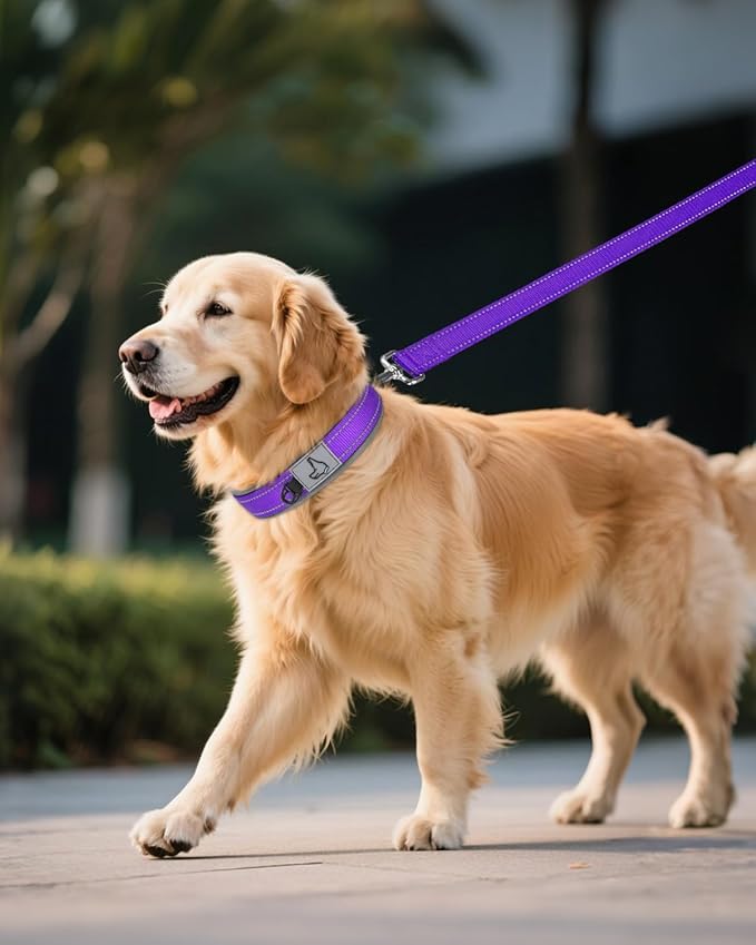 Joytale Dog Collar for Extra Large Dogs, Neoprene Padded and Adjustable, Reflective Wide Heavy Duty Pet Collars with Durable Metal Belt Buckle for Walking, Purple, XL