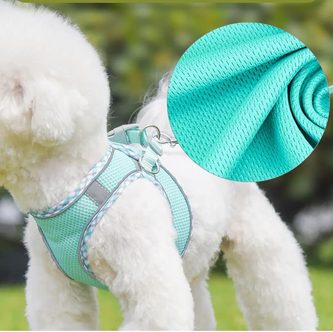 Harness Small Sized Dog, No-Pull Puppy Vest with Leash Set, Breathable Mesh Reflective Pet Harnesses for Outdoor Walking for XXS Xs Small Medium Breed Dogs Cats, Pink-Plaid XSmall