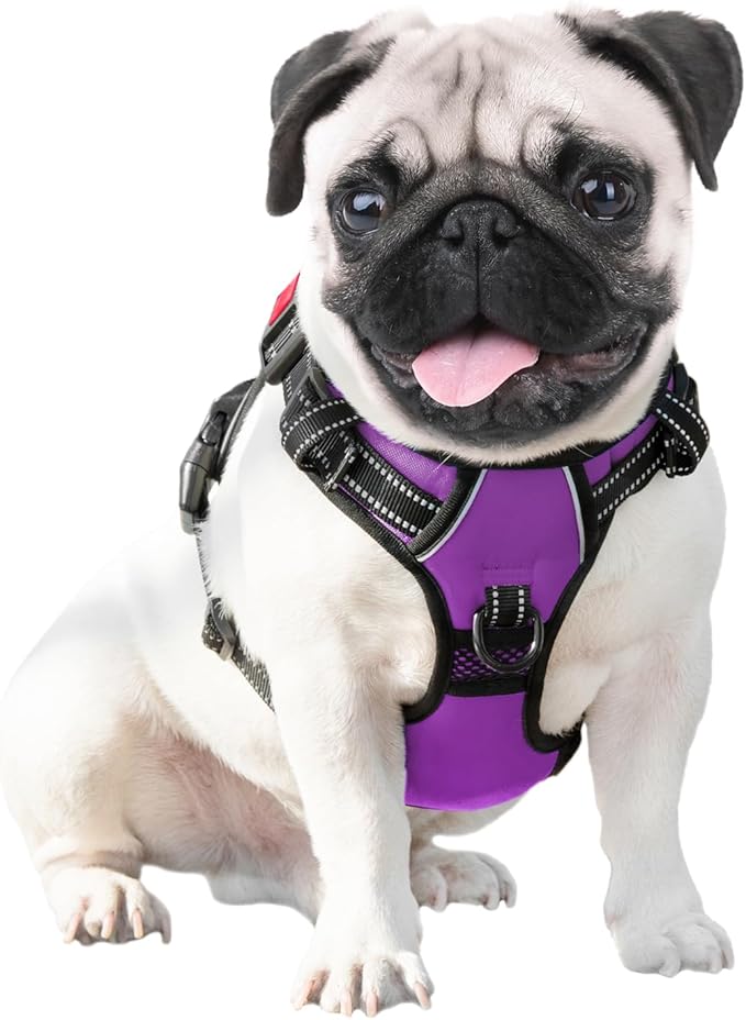 PHOEPET Reflective Dog Harness Large Breed Adjustable No Pull Vest with Handle 2 Metal Rings 3 Buckles [Easy to Put on & Take Off](XL, Purple)