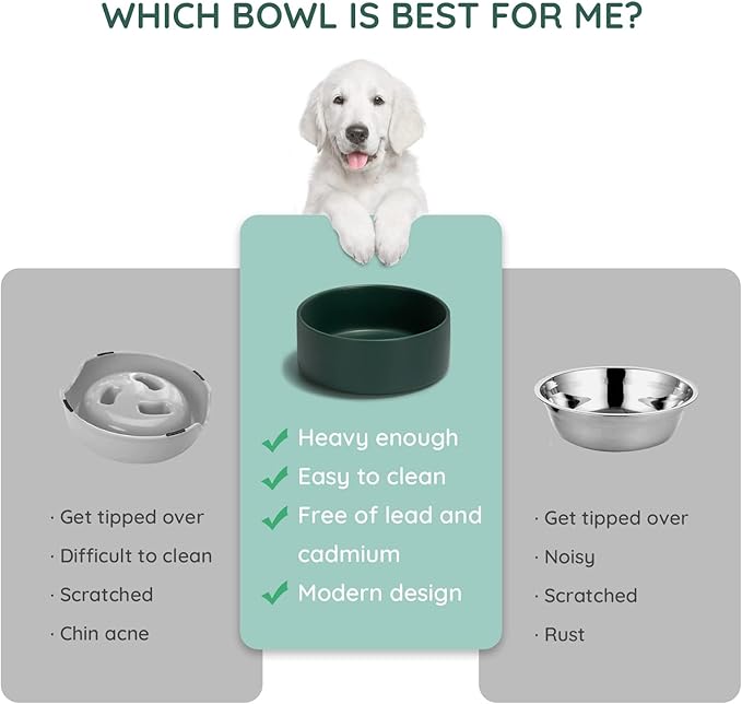 SPUNKYJUNKY 42OZ Ceramic Dog and Cat Bowl, Modern Cute Weighted Food Water Bowl for Replacement Green (1 Pack)
