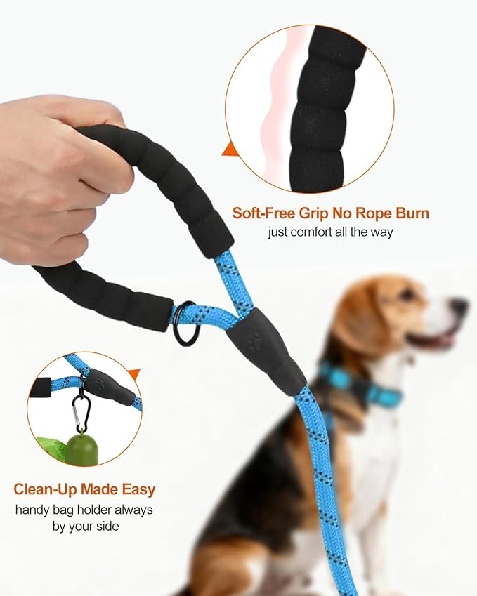 Joytale Dog Leash for Small Dogs, Heavy Duty Nylon Leashes with Comfortable Padded Handle and Highly Reflective Threads, Ideal for Walking and Training, SkyBlue, 6'횞3/8''