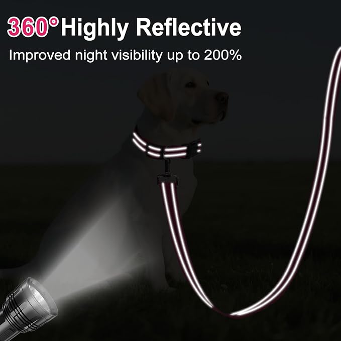 Reflective Dog Leash 4ft Soft Padded Handle Nylon Lead for Small & Medium Dogs, Durable Walking Training Leash for Night Safety (Hotpink,1Inch Wide)