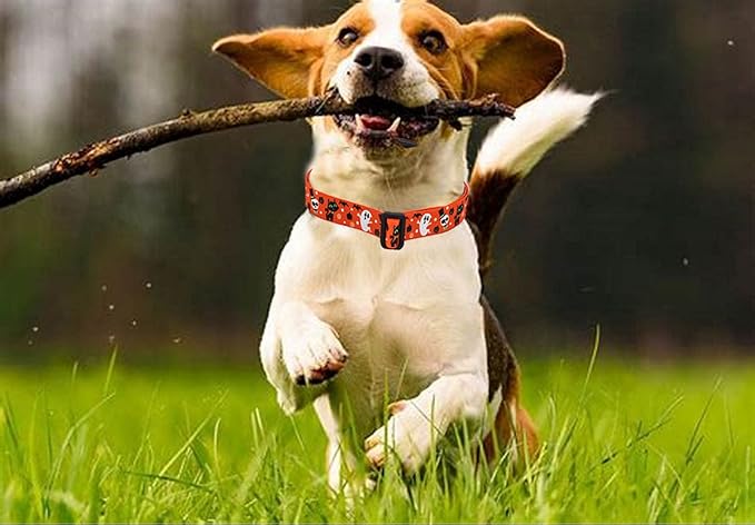 Halloween Dog Collar - Pumpkin Bat Ghost Pattern - Adjustable for Small Medium Large Dogs(Halloween,L)