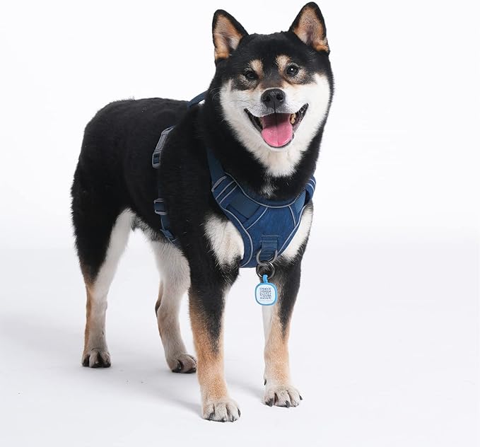 Pawaii No Pull Dog Harness with Pet ID Tag,Reflective Strips No Choke Front O Ring Breathable Mesh Adjustable Soft Padded Pet Vest with Easy Control Handle for Medium Dogs