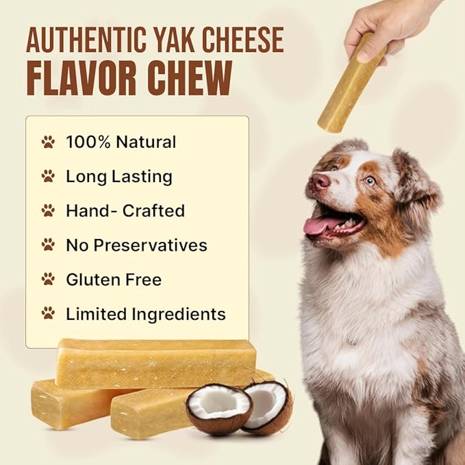 Tibetan Yak Cheese Dog Chew Sticks (4 Medium Chews) Coconut Flavor - Natural, Handmade, Long-Lasting, Easy to Digest, Ideal for Medium Dogs and Aggressive Chewers, Rawhide, Grain and Gluten Free