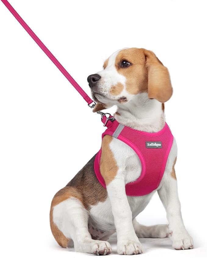 rabbitgoo Dog Harness Small Medium Sized and Leash Set, Step in Soft Light Puppy Vest, Breathable Mesh Pet Harness, Reflective for Safe Easy Walking, Rose Red L