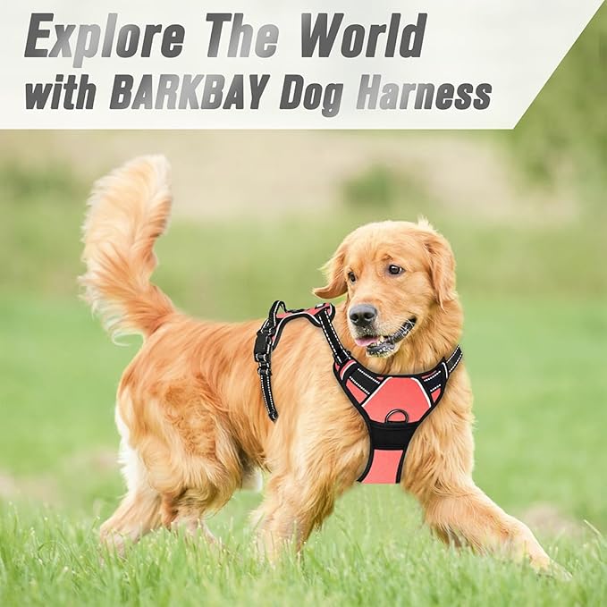 BARKBAY No Pull Dog Harness Front Clip Heavy Duty Reflective Easy Control Handle for Large Dog Walking(Light Pink,L)