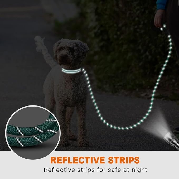 Taglory Rope Dog Leash 5 FT with Comfortable Padded Handle, Highly Reflective Threads Leash for Small Dogs, 3/8 inch, Turquoise