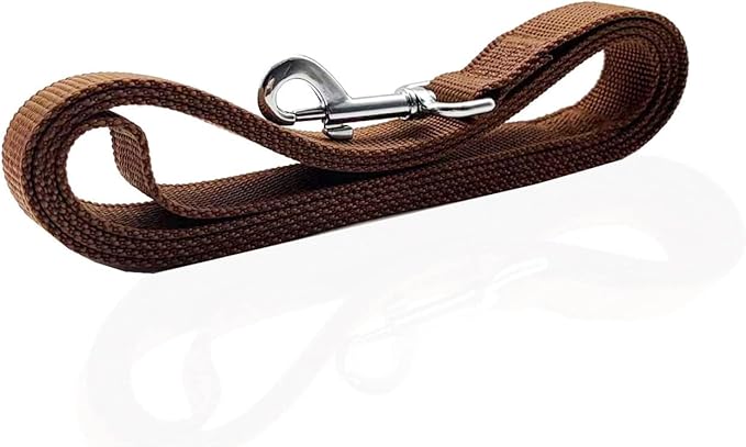 Nylon Dog Leash 12 Feet Long, Walking Training Dog Leashes for Medium Large Dogs(1" X 12 ft, Brown)