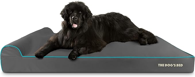 The Dog’s Bed Orthopedic Memory Foam Dog Bed with Headrest, Oxford Fabric, Grey with Blue Trim, XXL, 6-Inch
