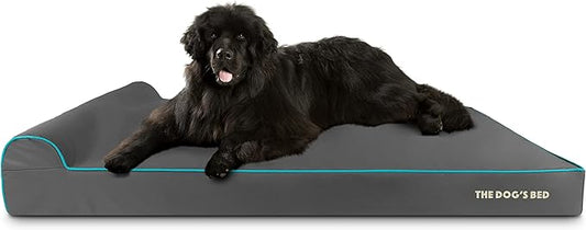 The Dog’s Bed Orthopedic Memory Foam Dog Bed with Headrest, Oxford Fabric, Grey with Blue Trim, XXL, 6-Inch