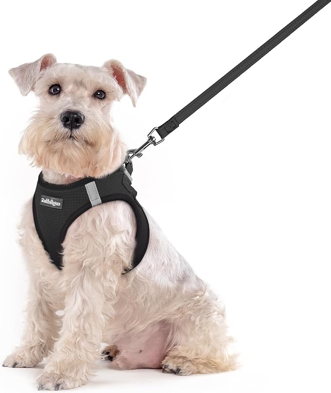 rabbitgoo Dog Harness Small Sized and Leash Set, Step in Soft Light Puppy Vest, Breathable Mesh Pet Harness, Reflective for Outdoor Safe Walking, Black XXL
