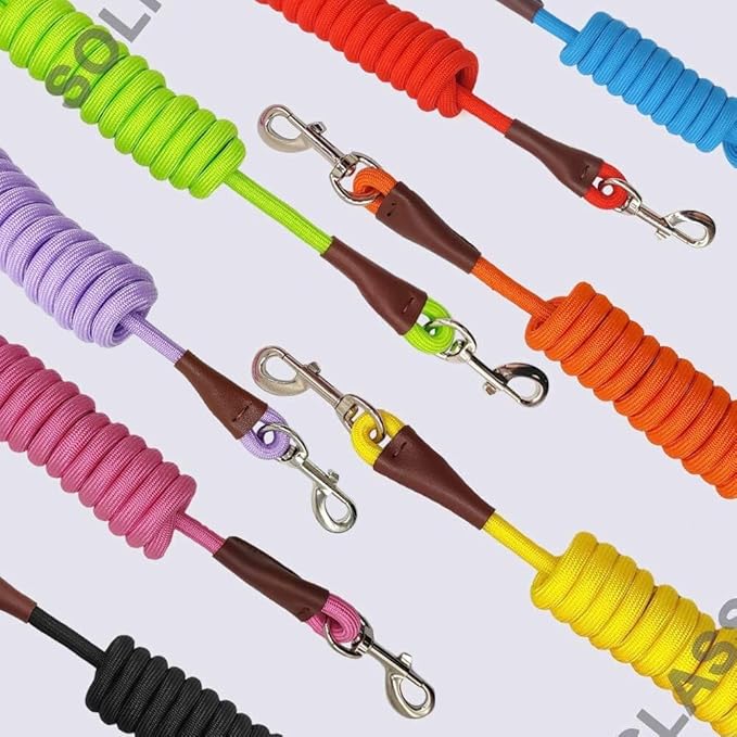 MayPaw 6/8 /10 FT Dog Leash, Classic Solid Colors, Strong Nylon Rope Dog Leash Reinforced with Leather Tailor Connection Heavy Duty Silver Clasp (Purple, 6ft*1/2")