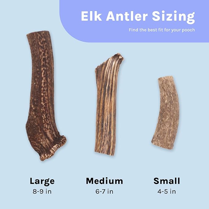 Good Trouble Premium Elk Antlers for Large Dogs – 2 Pack Whole - All-Natural, Shed Antler Chews for Dental Health & Calming - Durable Dog Bones - Cruelty-Free, North American Sourced