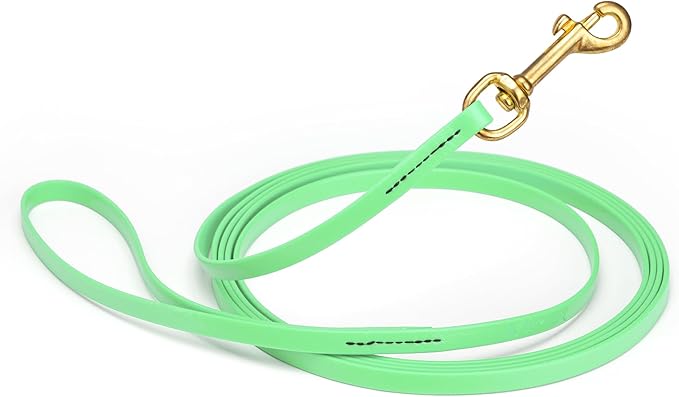 Viper Biothane K9 Working Dog Leash Waterproof Lead for Tracking Training Schutzhund Odor-Proof Long Line with Solid Brass Snap for Puppy Medium and Large Dogs, 20ft Sea Foam Green