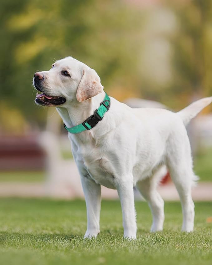 Joytale Large Dog Collar, Reflective and Adjustable Nylon Pet Collar with Quick-Release Buckle for Large Dogs, Teal, L
