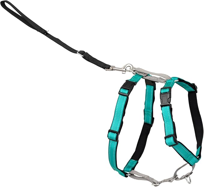 PetSafe 3-in-1 Harness - Comfortable Easy-Walk Dog Chest Harness with Front Leash Attachment to Reduce Pulling, Choking & Gagging - Dog Obedience Gear - Extra Small - Teal