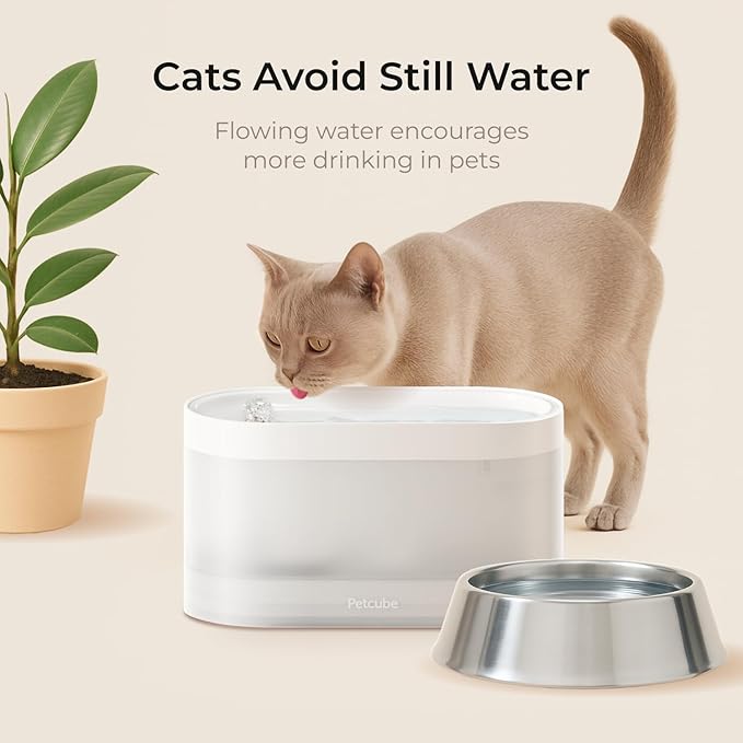 Petcube Pet Water Fountain | Automatic Wireless Water Fountain for Cats and Dogs with Ceramic Bowl, Easy to Clean, 4-Layer Filtration, in-App Filter Control, LED Light, Quiet Pump, Battery Operated